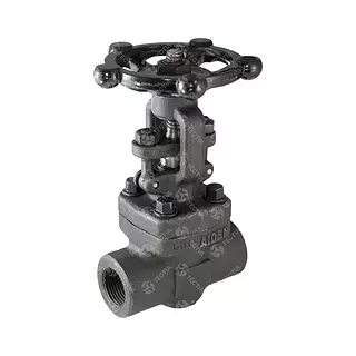 Válvula Compuerta Acero Al Carbón 800 Psi